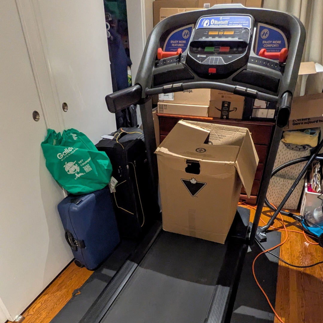 It’s one of the noises I find annoying. I don’t know why, but I just don’t like it. However, it makes it unique, so I recorded it. <br><audio controls src='audio/Treadmill .m4a'></audio>